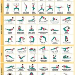 Yoga Asanas Poster: 64 Colorful Poses with English Sanskrit Names Yoga Asanas Poster: 64 Colorful Poses with English Sanskrit Names