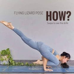Flying Lizard the Utthan Pristhasana Flying Lizard Pose - Utthan Pristhasana उदय प्रतियोगिता Yoga Asana Collection